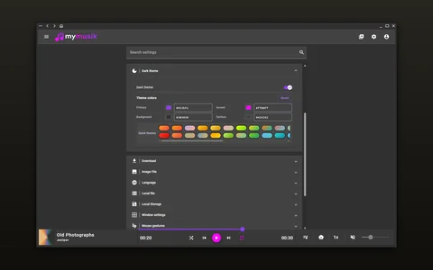 Appearance settings with quick themes and individual color controls